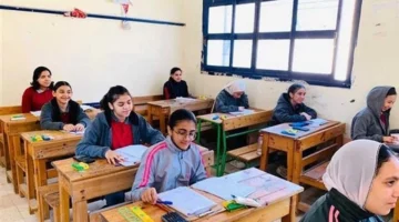 تباين الآراء.. تقييم طلاب القاهرة والجيزة والشرقية لامتحانات الرياضيات والعلوم الدراسيّة